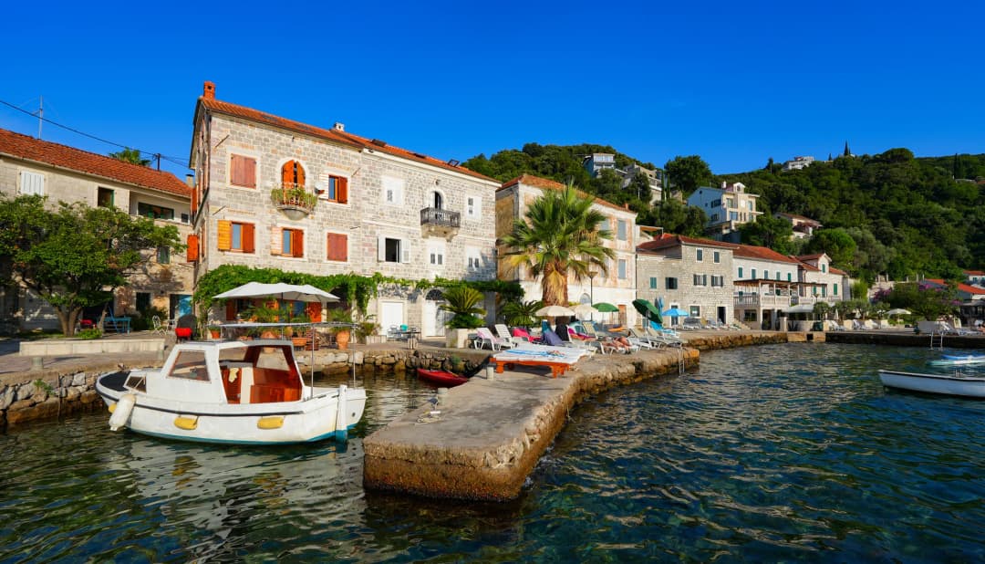 Rose, Montenegro