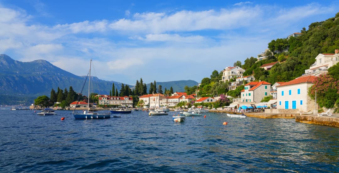 Rose, at the mouth of the Bay of Kotor