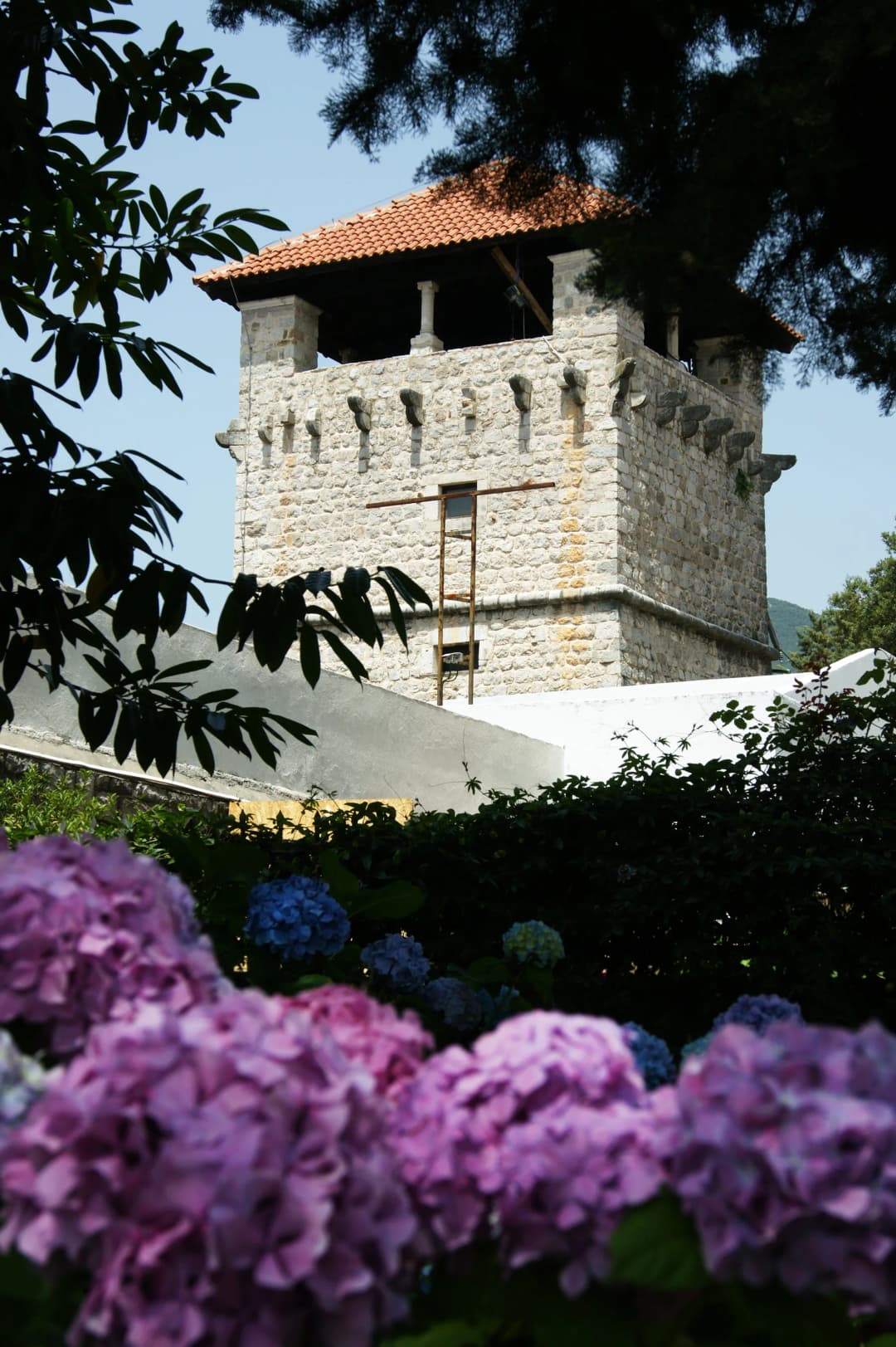 The crenellated Buća-Luković tower rising behind blooming hydrangeas in Tivat