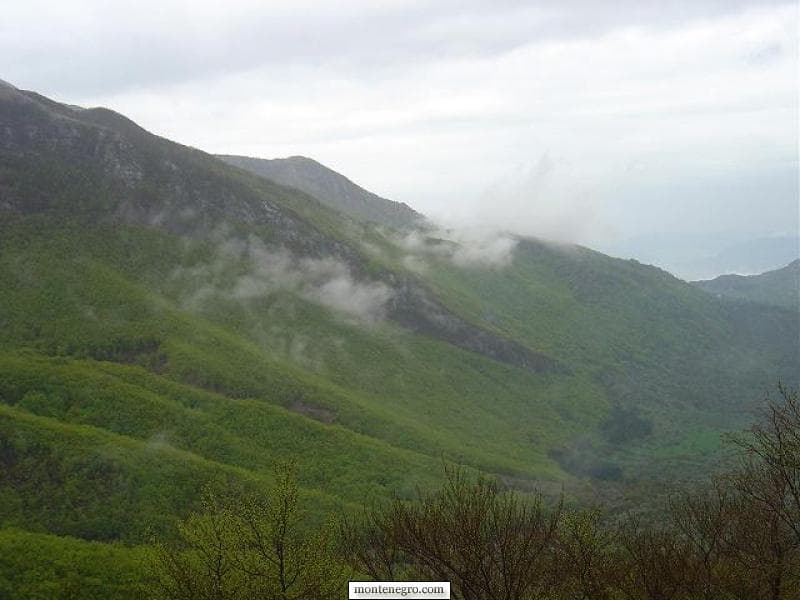 Planinarenje Lovćenom
