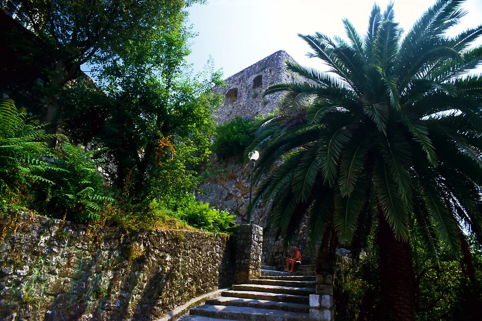 A high stone wall pierced by two rectangular gun openings, seen from below through palm fronds and dense green vegetation, with a flight of stone steps climbing past it.