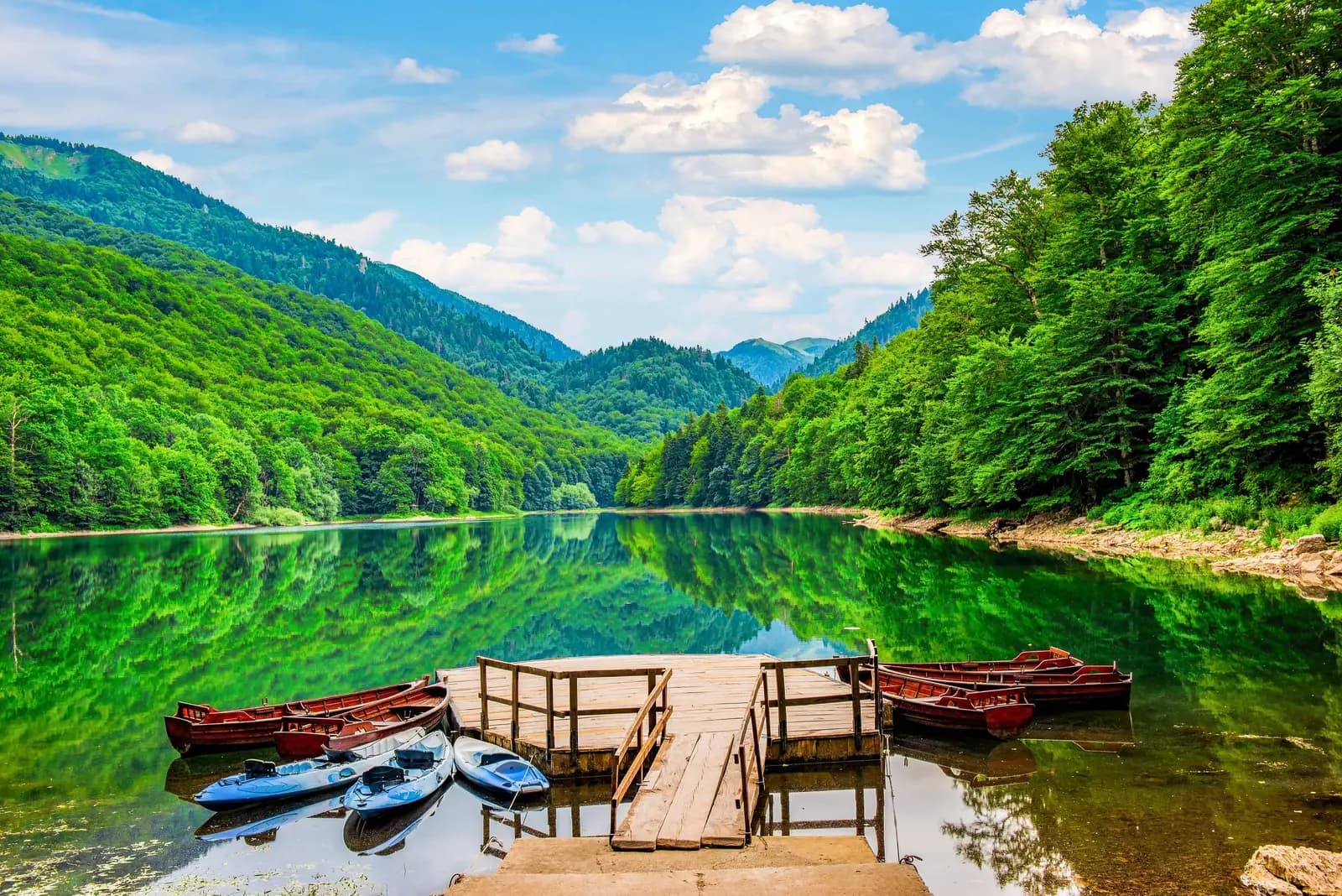 Biogradsko Jezero and Biogradska Gora: Complete Park Guide