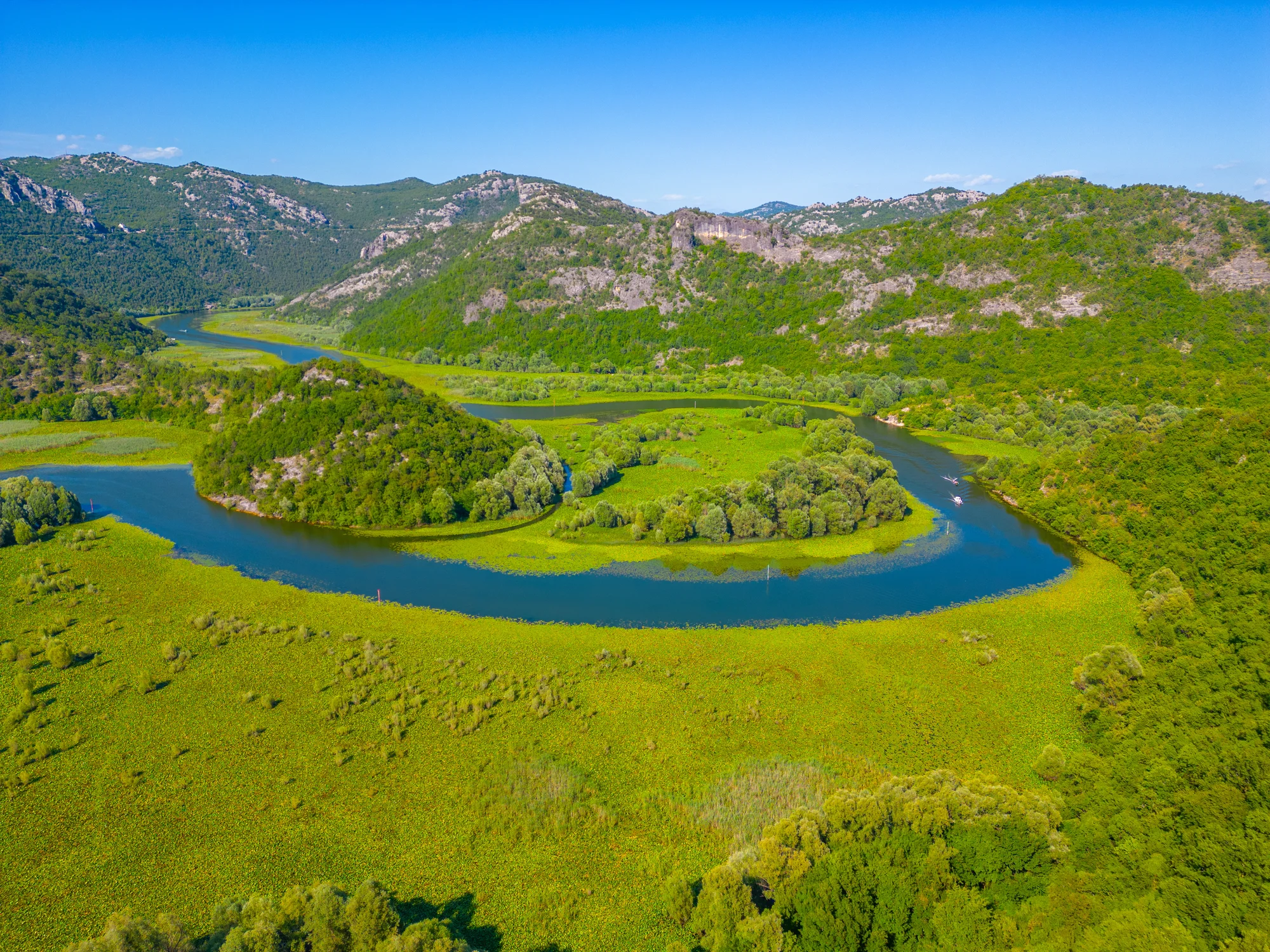 Un meandro del río Crnojević desde el aire, con nenúfares en ambas orillas y un otero arbolado dentro del lazo