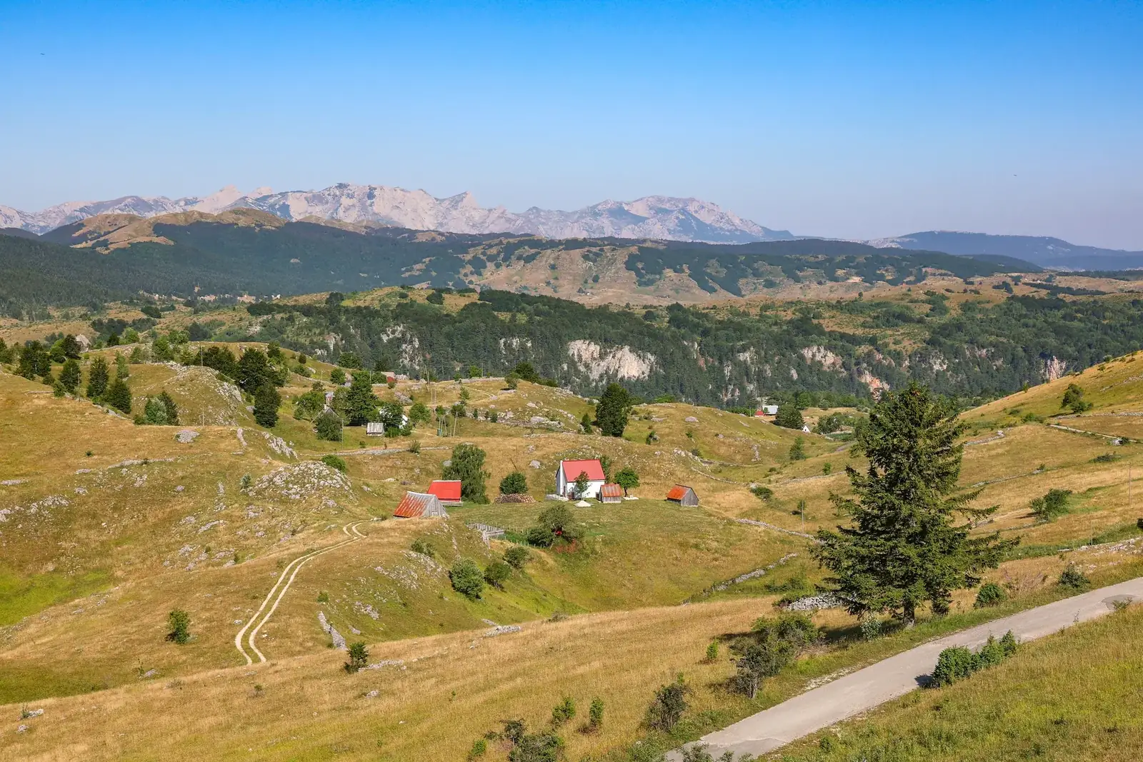 Highland farms and mountain landscape near Žabljak in summer