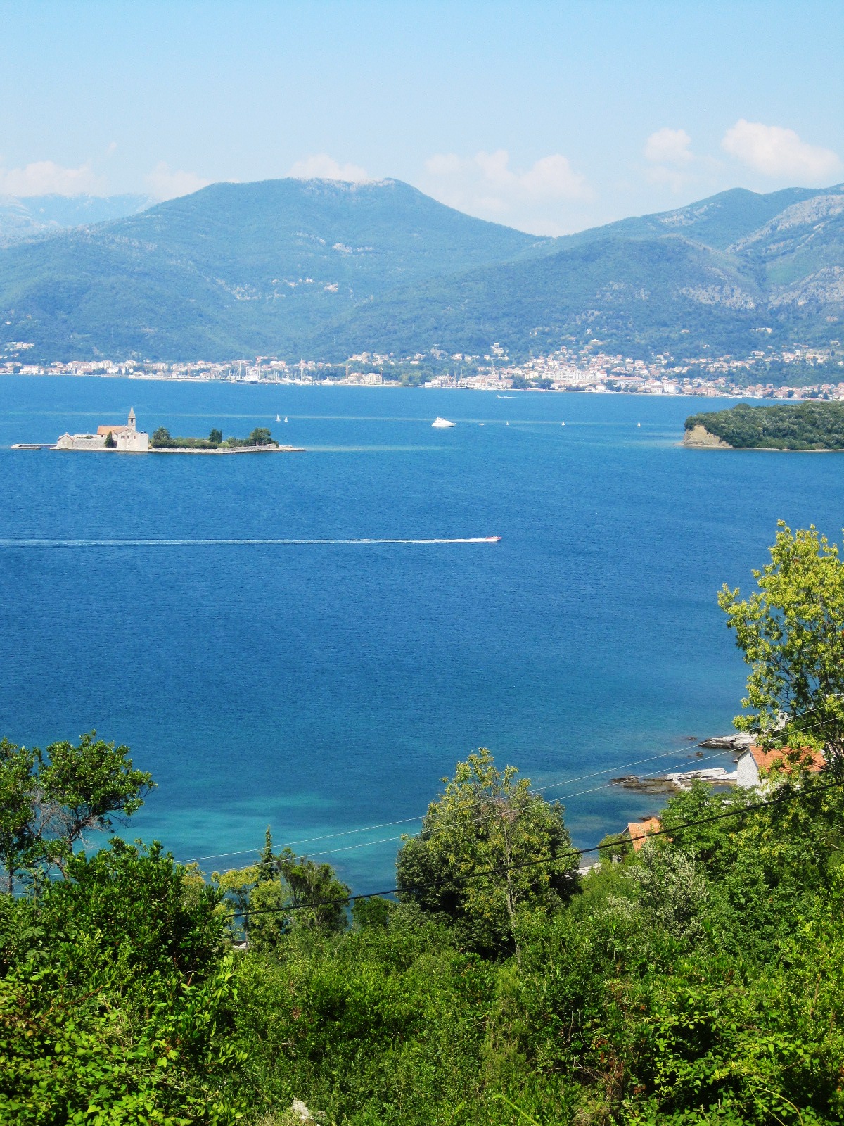 tivat555