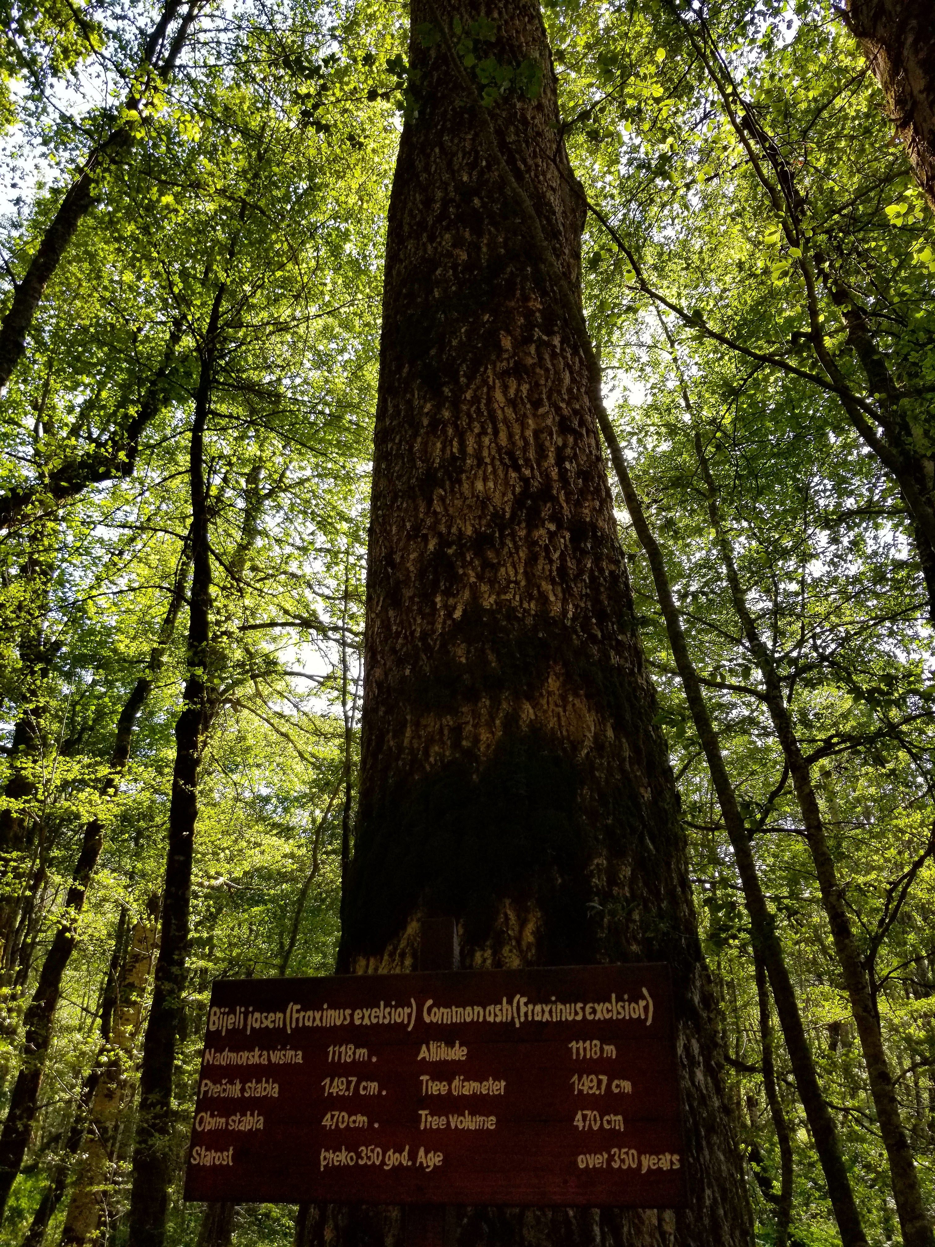 20170825_160018