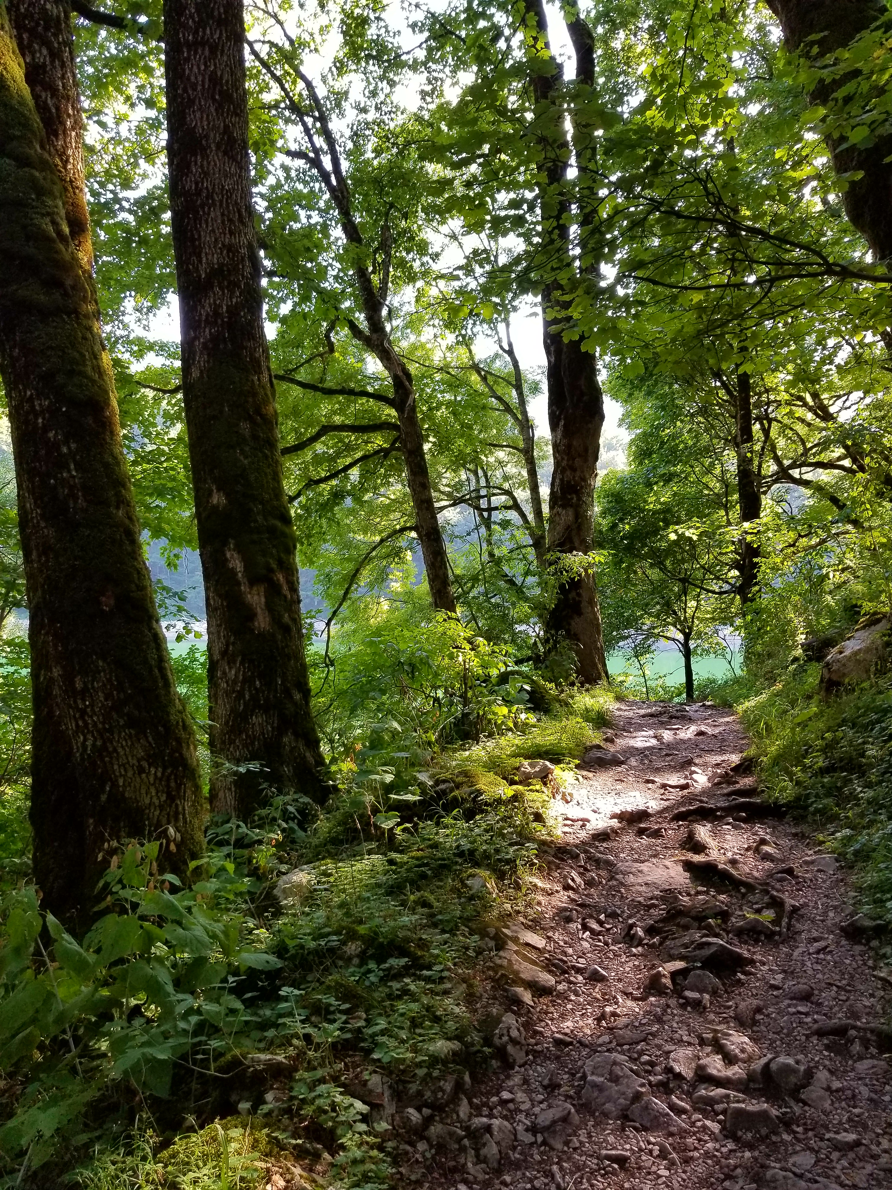 20170825_164958