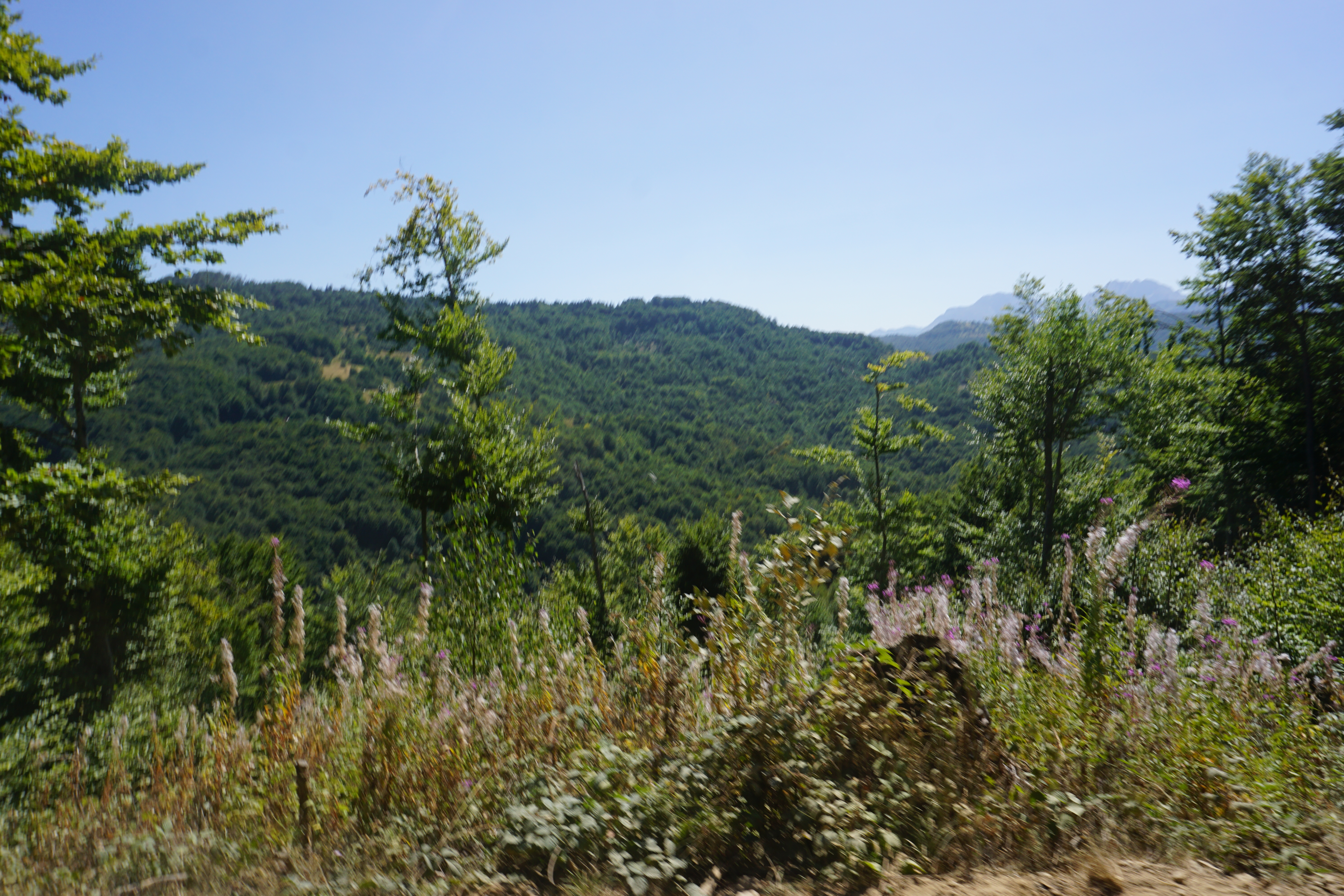DSC07663