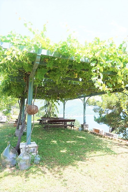 DSC08966