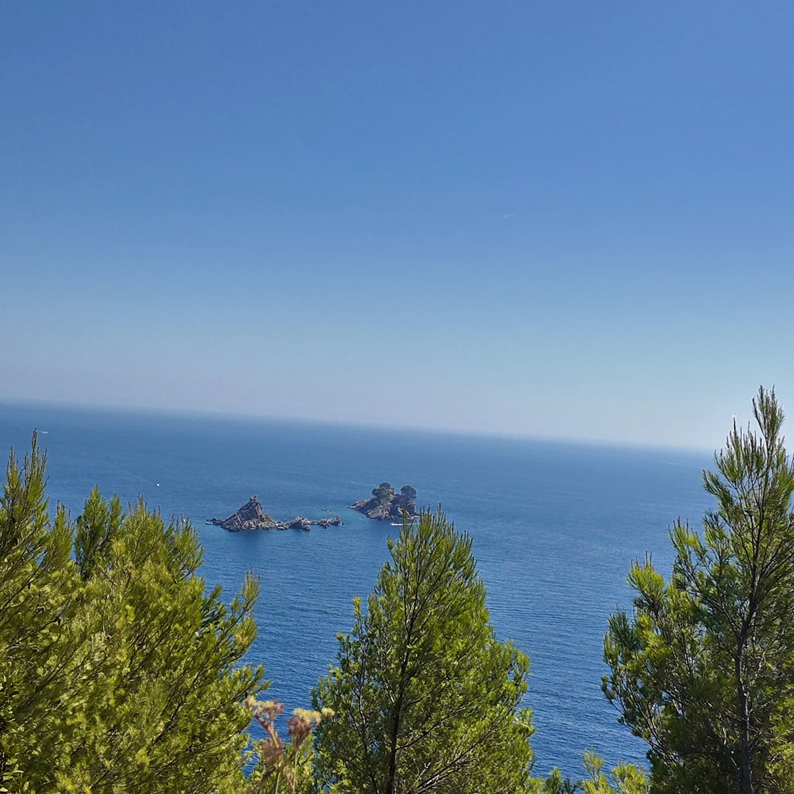 The rocky Katič and Sveta Neđelja islets off Petrovac, framed by pine branches, seen from the wooded slope high above a calm open sea