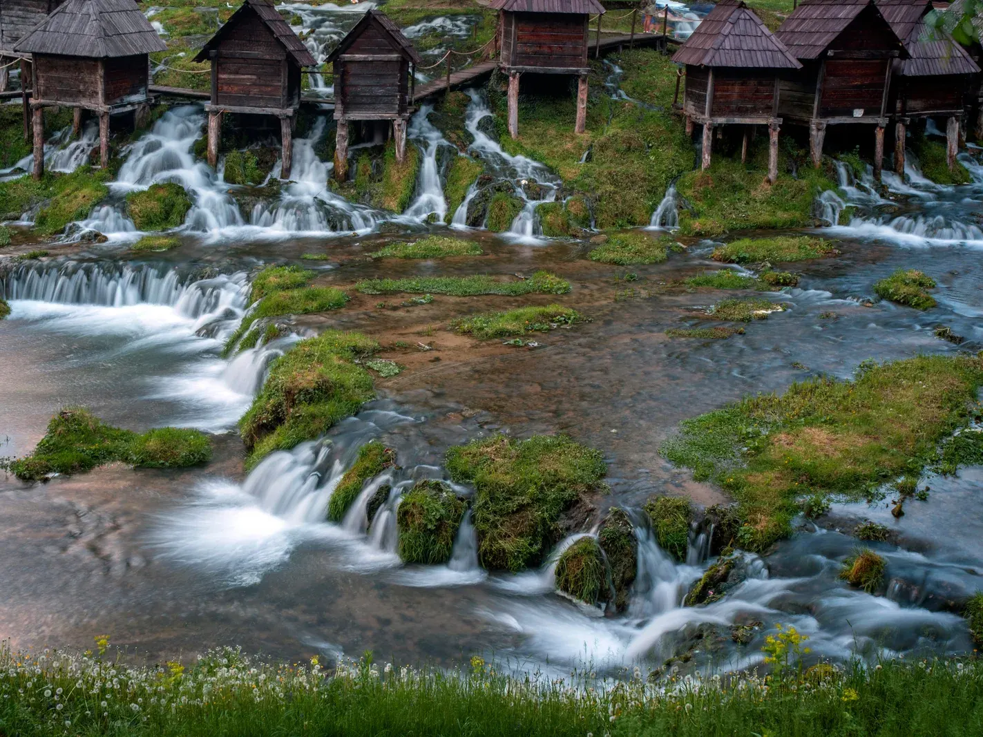 Colinas verdes de primavera sobre el lago Skadar con flores silvestres en primer plano