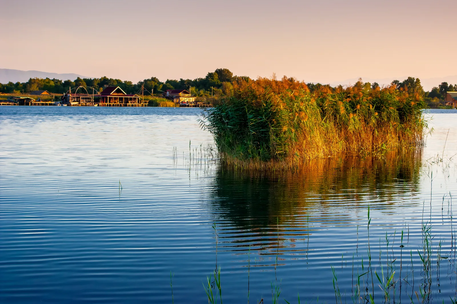 Golden-hour view of the Bojana river at Ada Bojana, with reeds and traditional wooden stilt fish restaurants on the bank