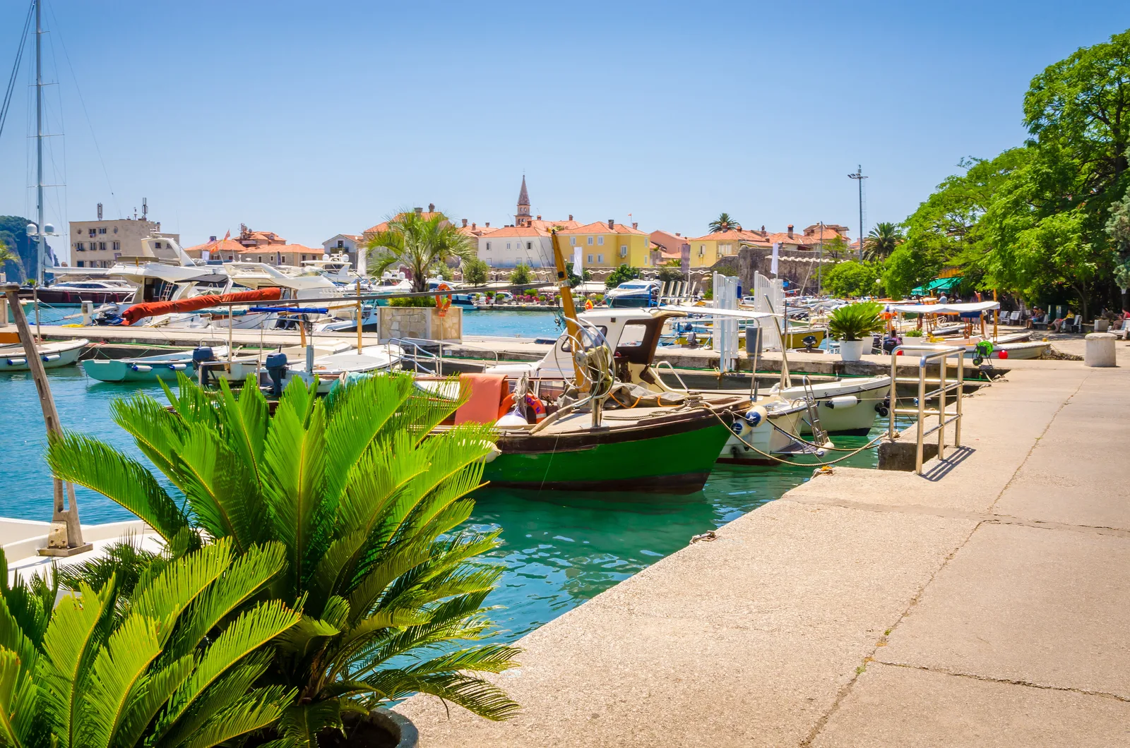 Barcos de pesca en la marina de Budva con la aguja de la Ciudad Vieja detrás