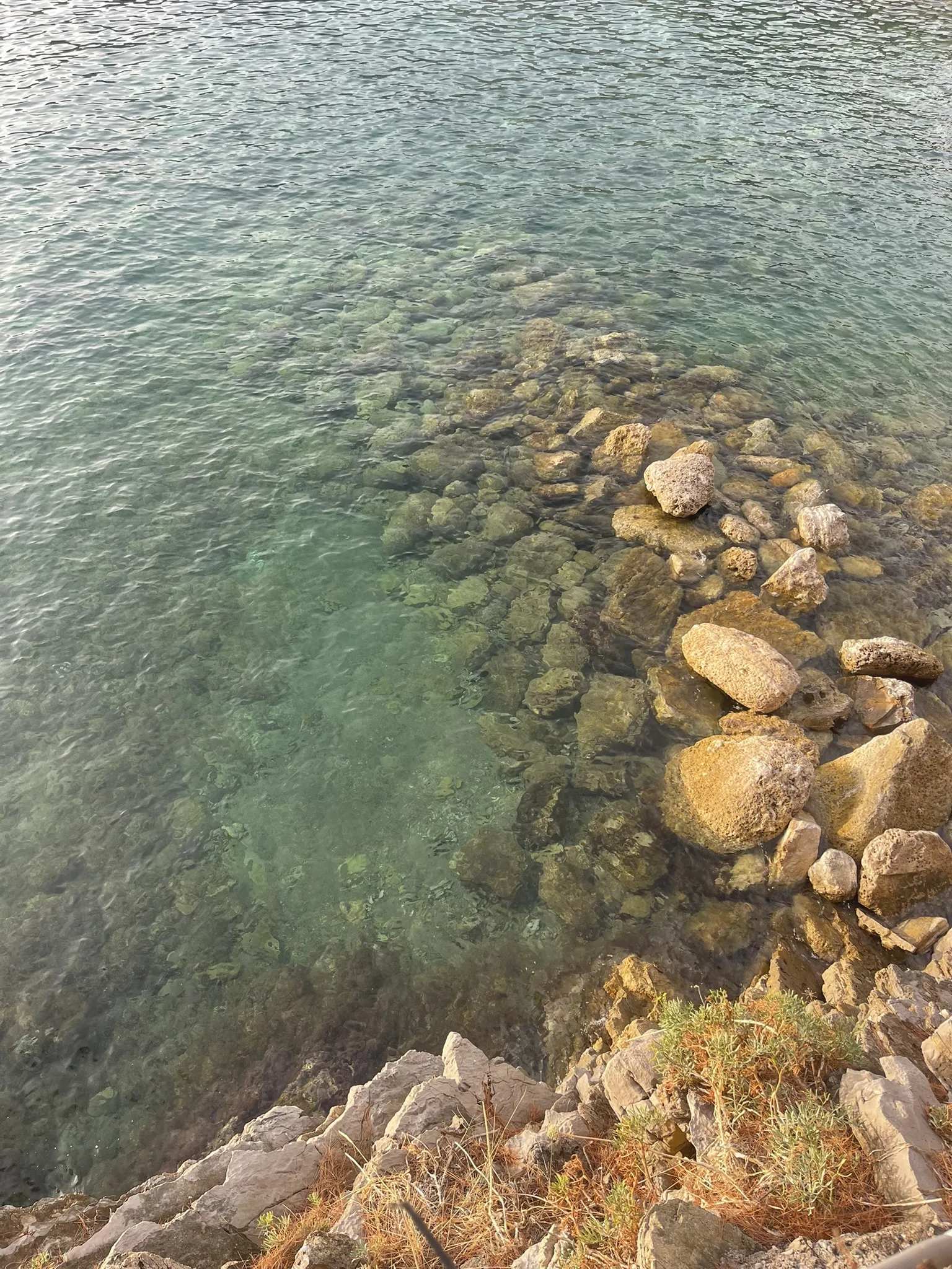 Clear water over rounded pale stones at the edge of Lučice cove
