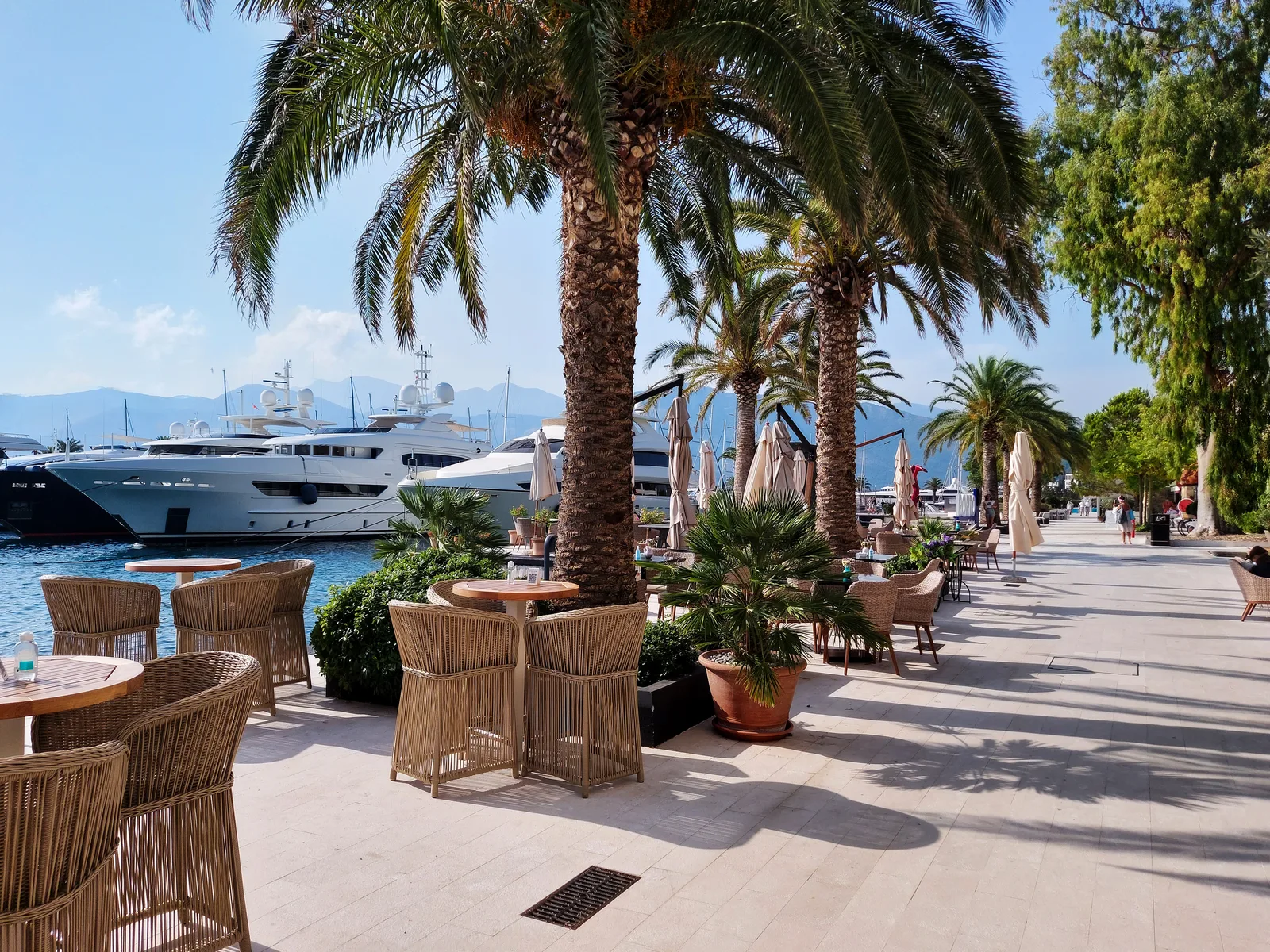 Palm-lined waterfront promenade with cafe tables and a superyacht at Porto Montenegro, Tivat