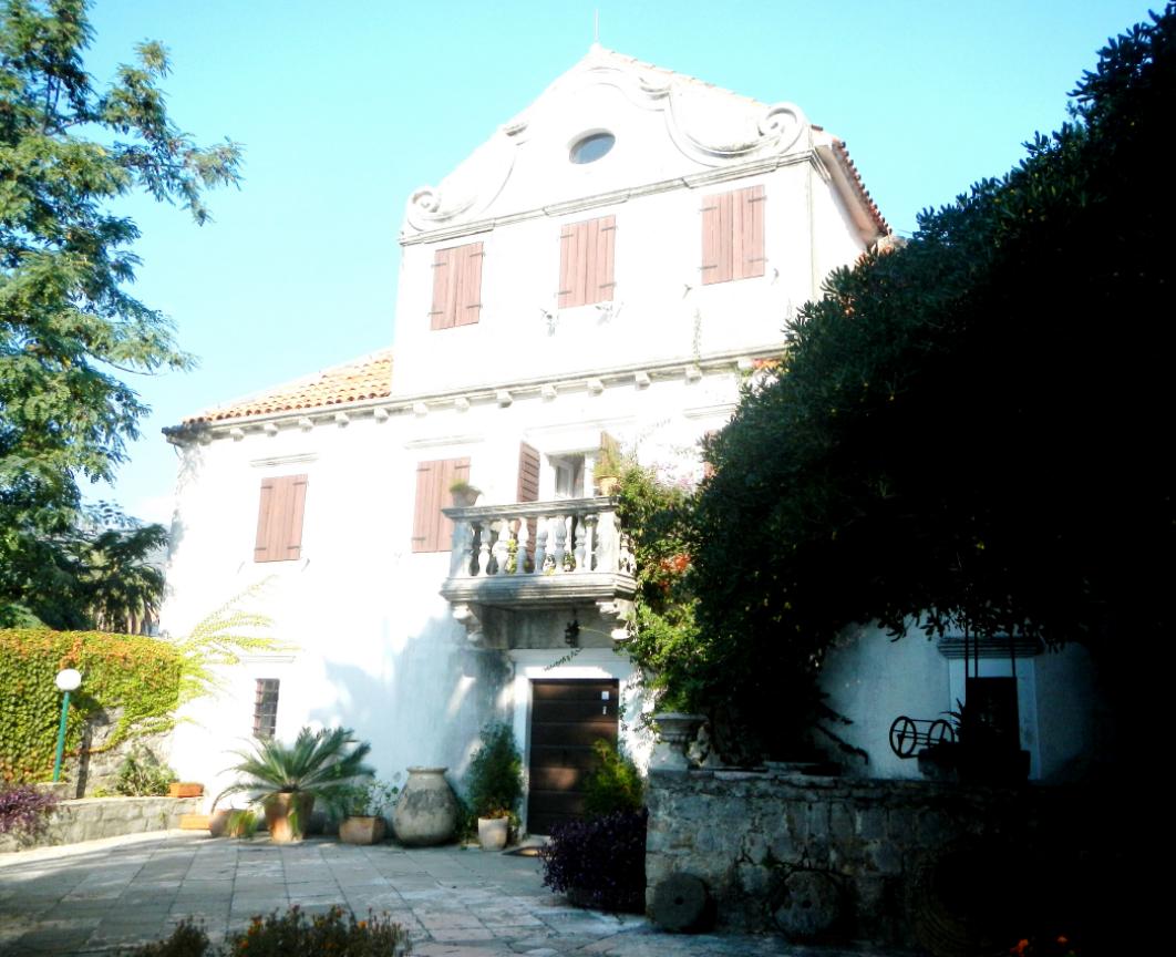 muzej