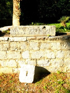 muzej5