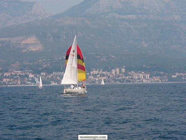 A racing yacht flying a colourful spinnaker downwind during a Bay of Kotor regatta