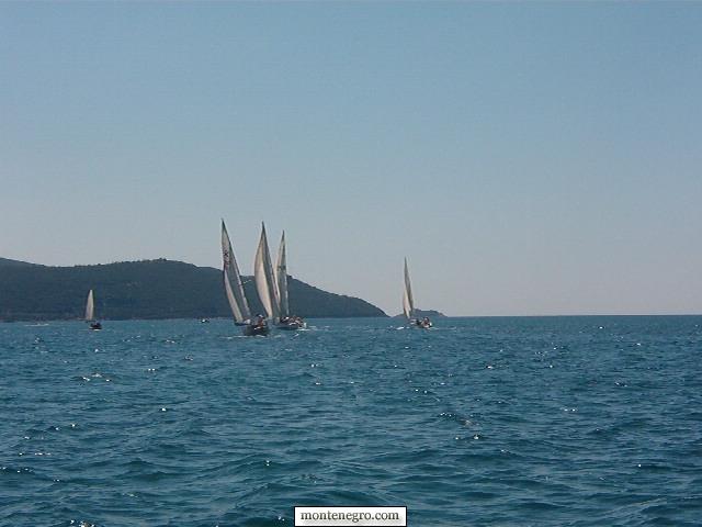 Yachts sailing across open Adriatic water towards the fortress island of Mamula off the Lustica peninsula