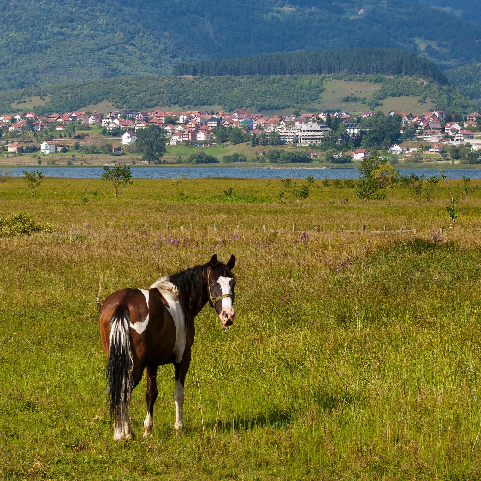 Plav, Montenegro