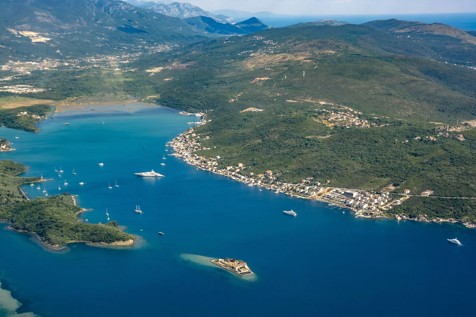 Rose, Montenegro