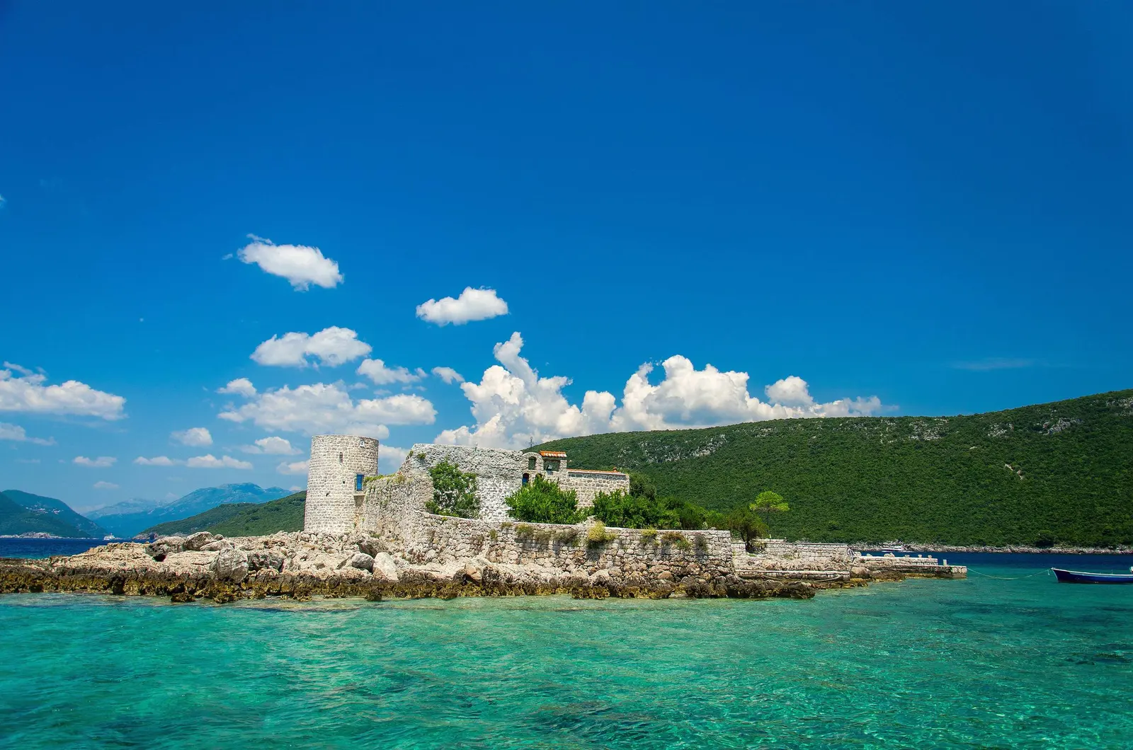Rose, Montenegro