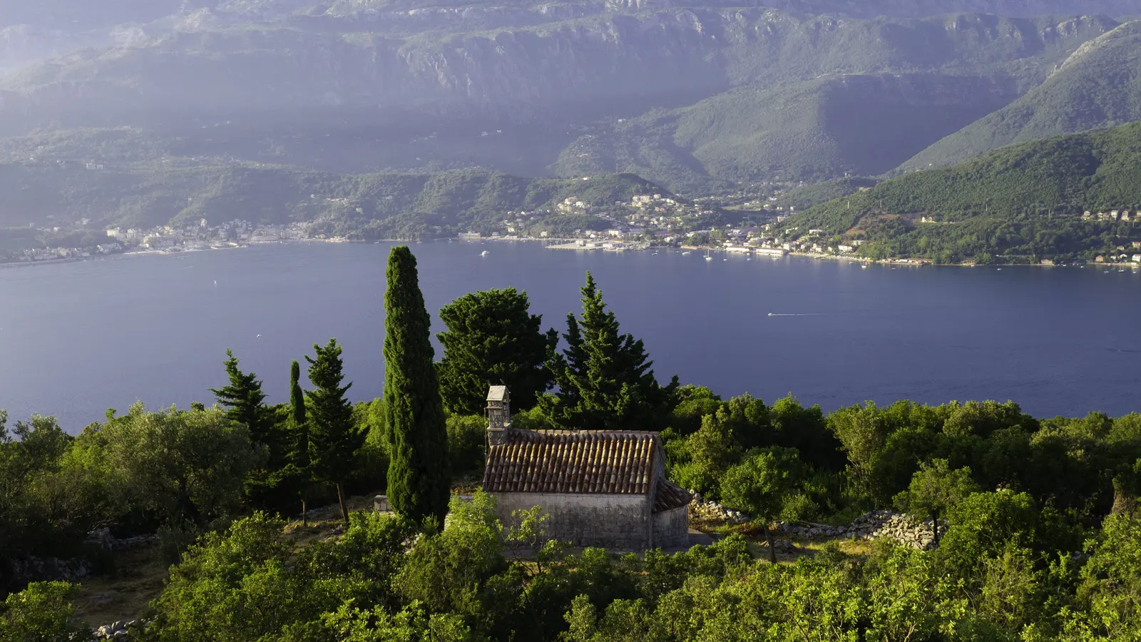 Rose, Montenegro