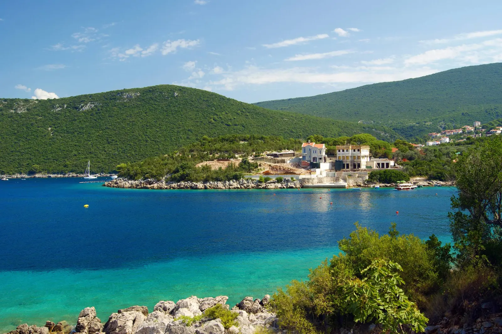 Rose, Montenegro