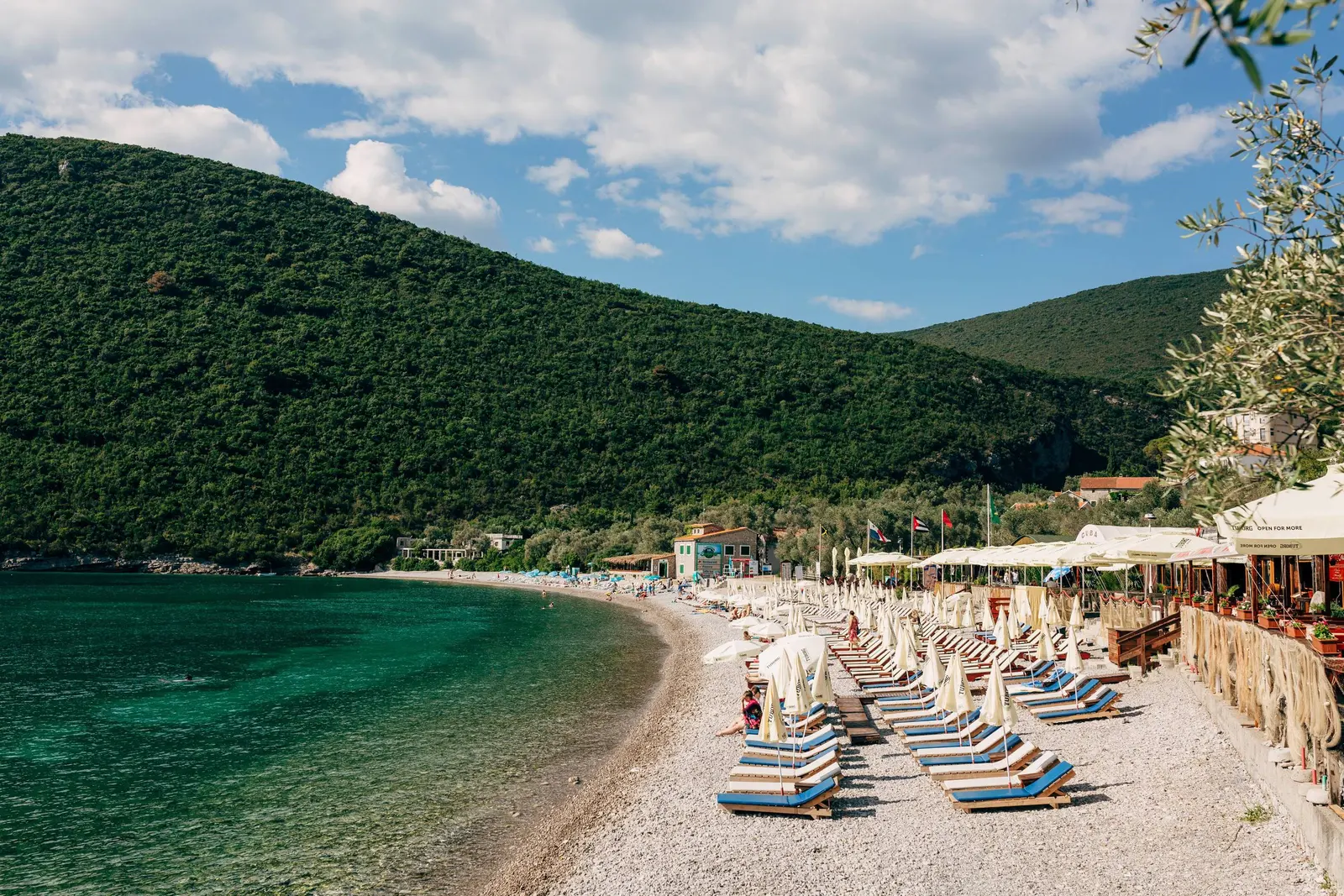 Rose, Montenegro