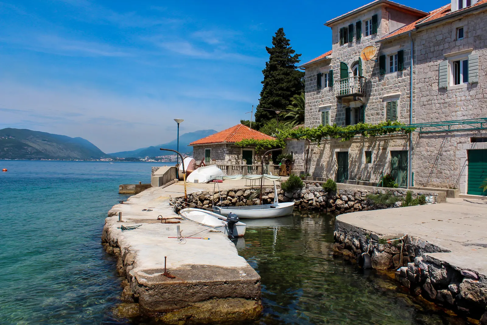 Rose, Montenegro
