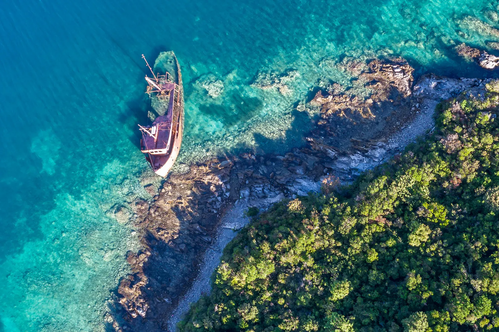 Rose, Montenegro