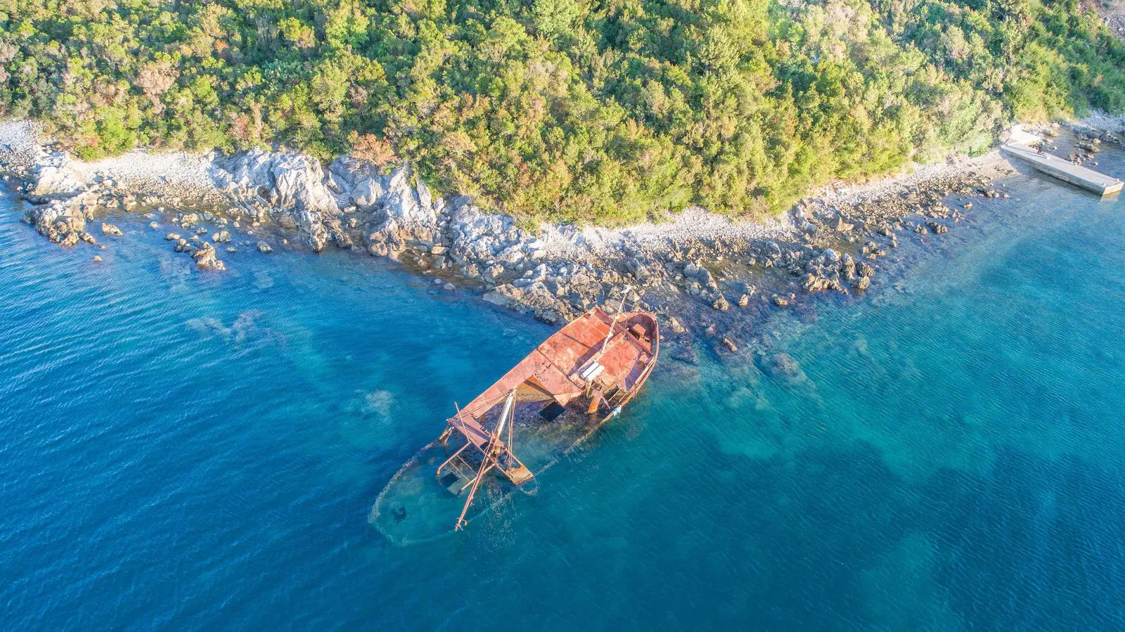 Rose, Montenegro