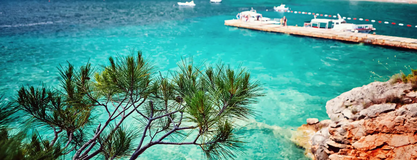 Rose, Montenegro