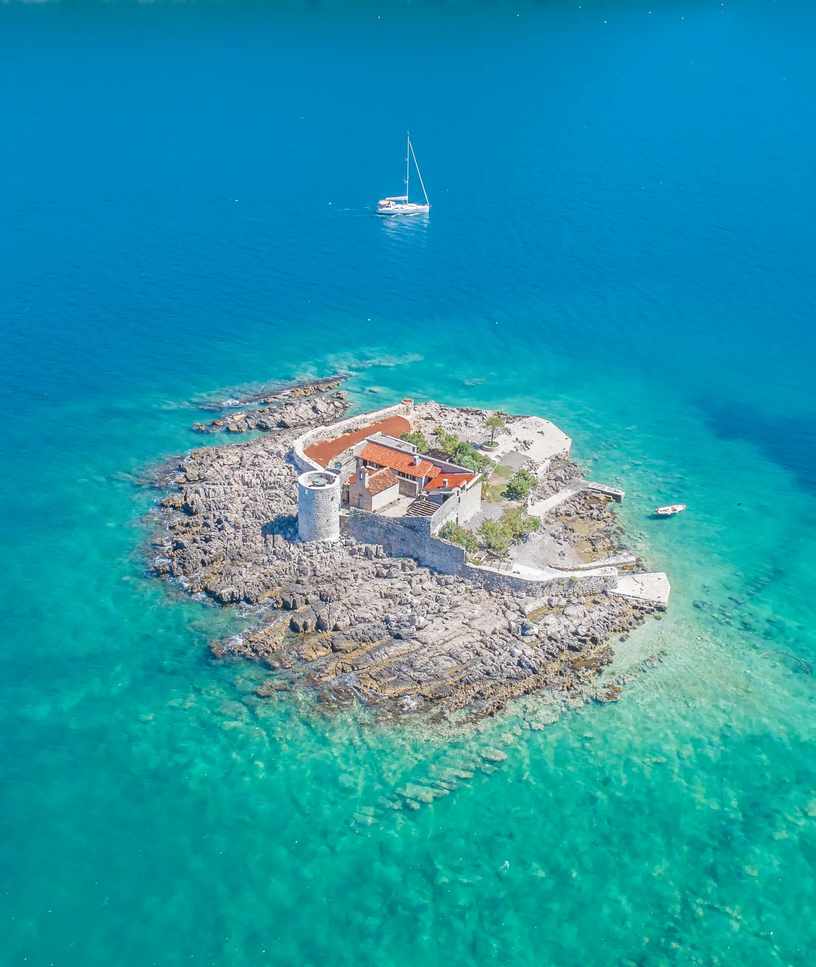 Rose, Montenegro