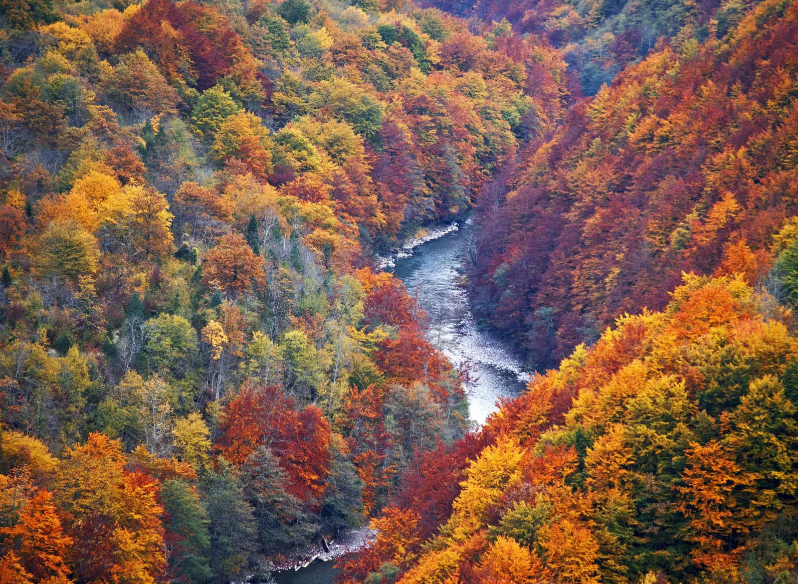 Otoño, Montenegro