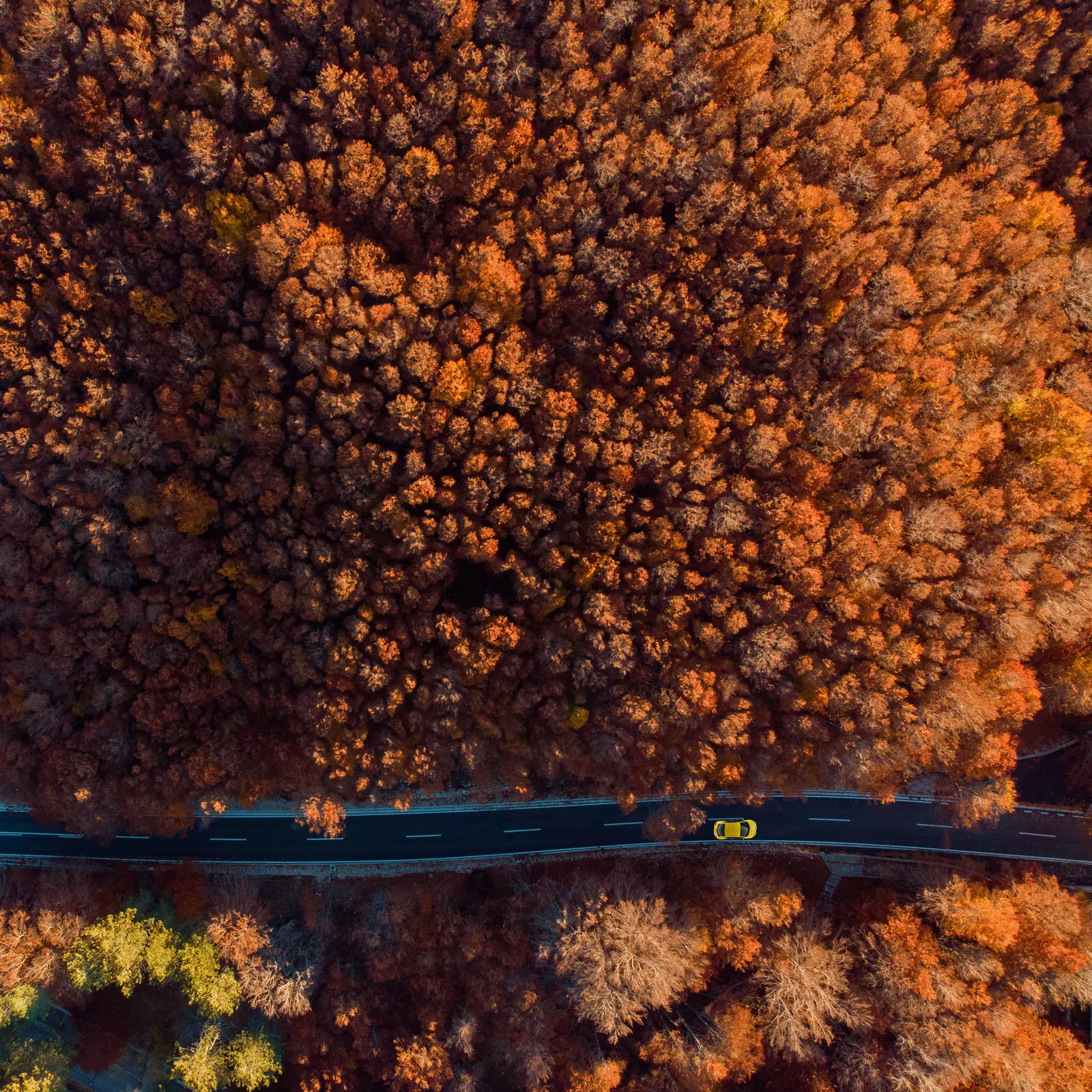 Otoño, Montenegro