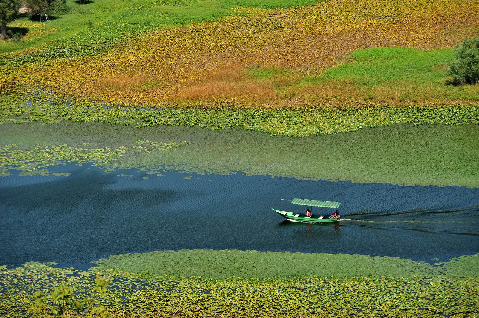 Skadarsko Jezero, Montenegro