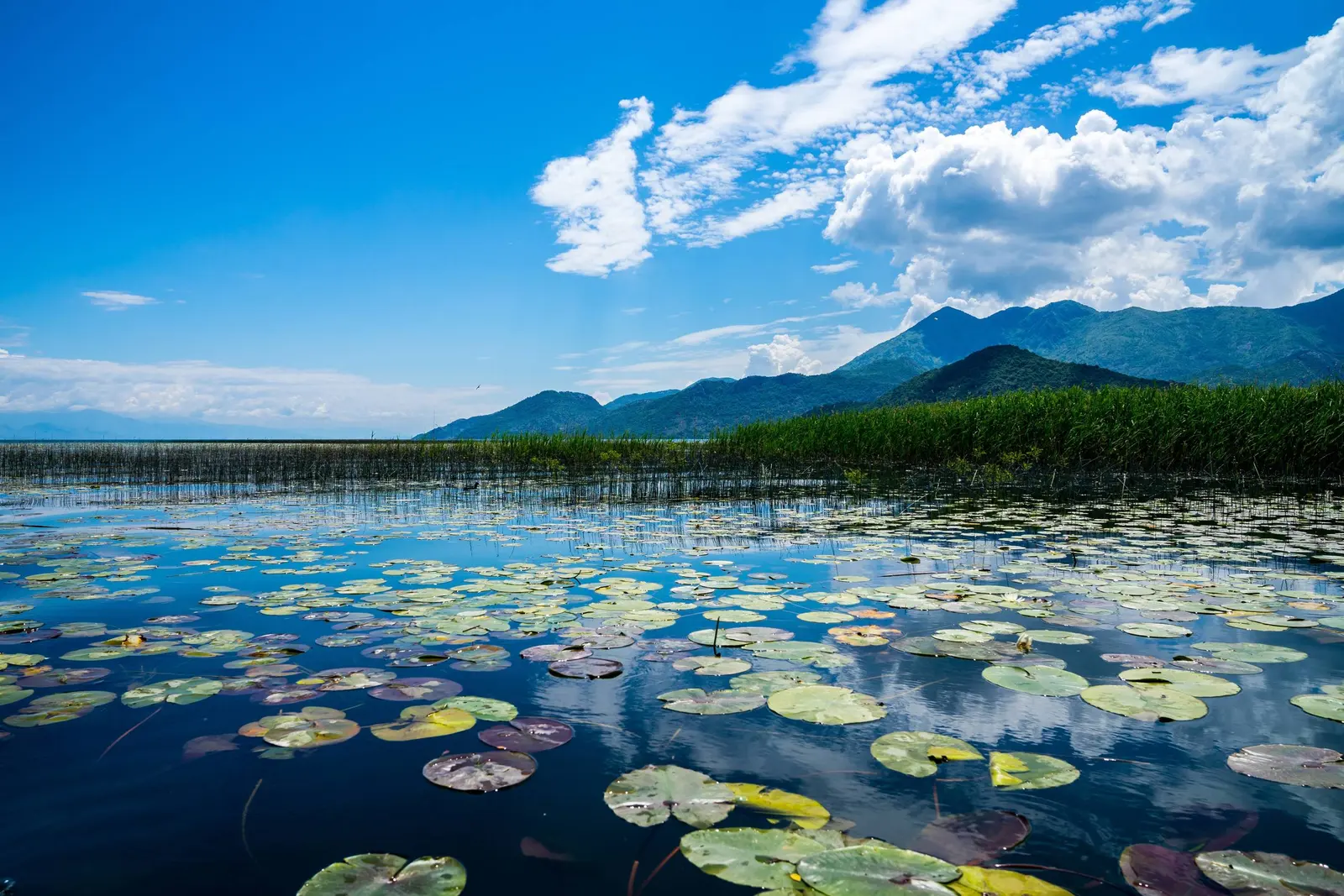 Lake Skadar, Montenegro