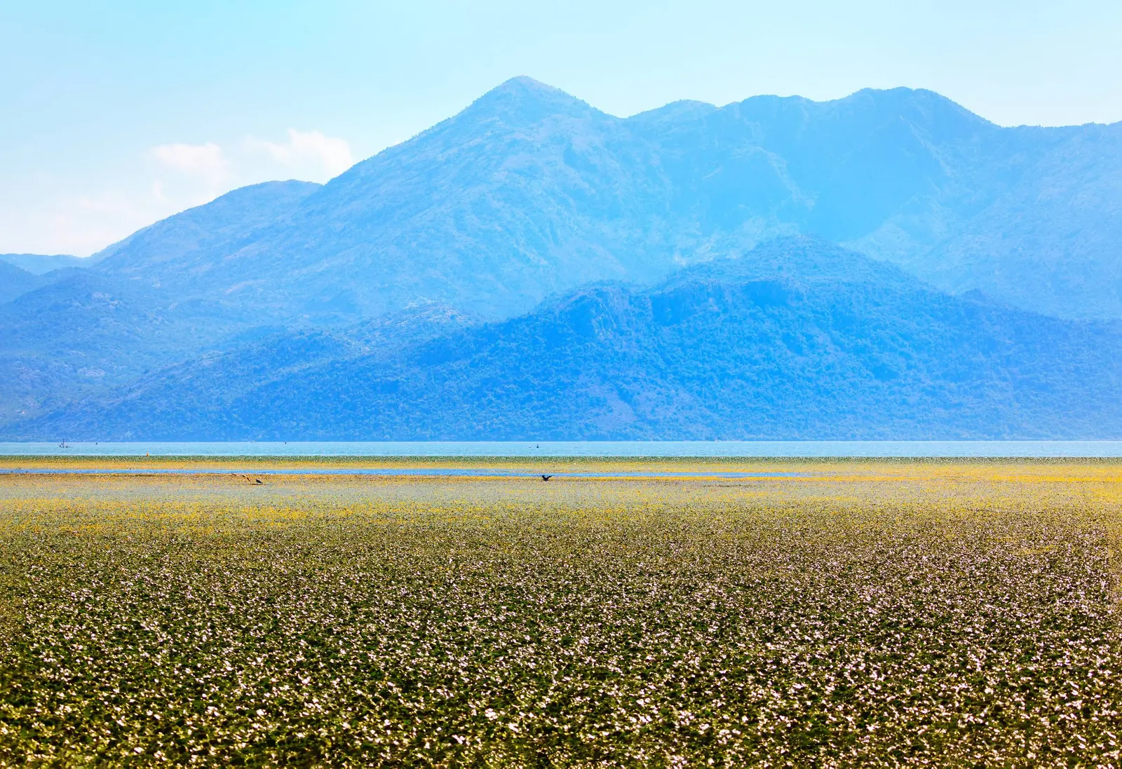 Lake Skadar, Montenegro
