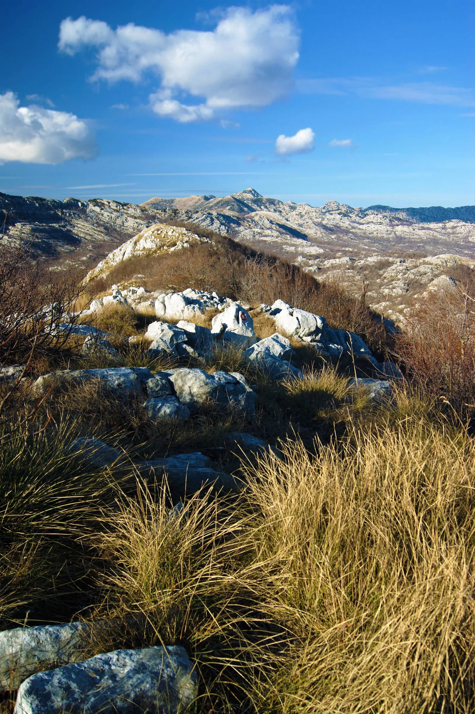 Orjen Pogledsavrha Montenegro