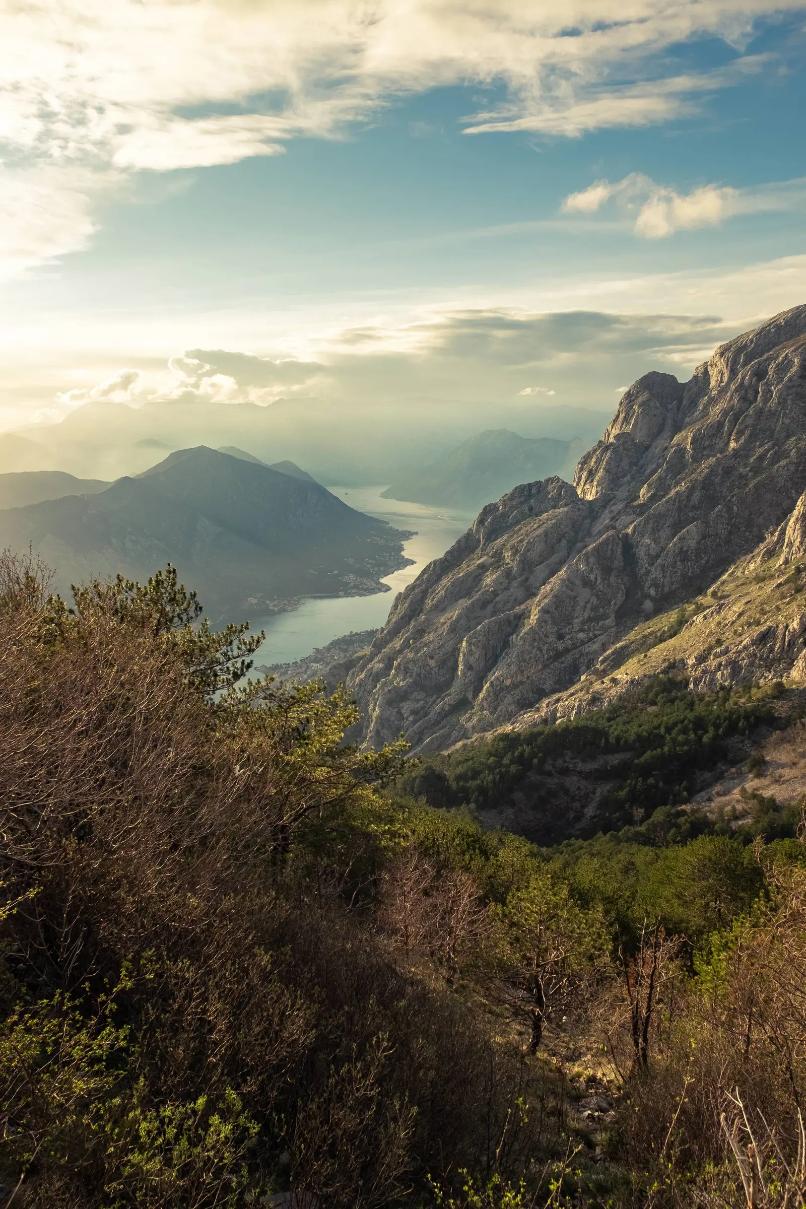 Planinaorjen Vrh Poglednazaliv Montenegro