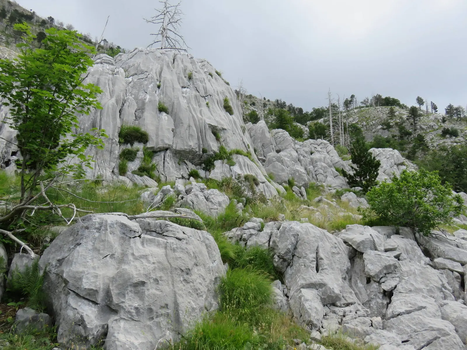 Orjen, Montenegro