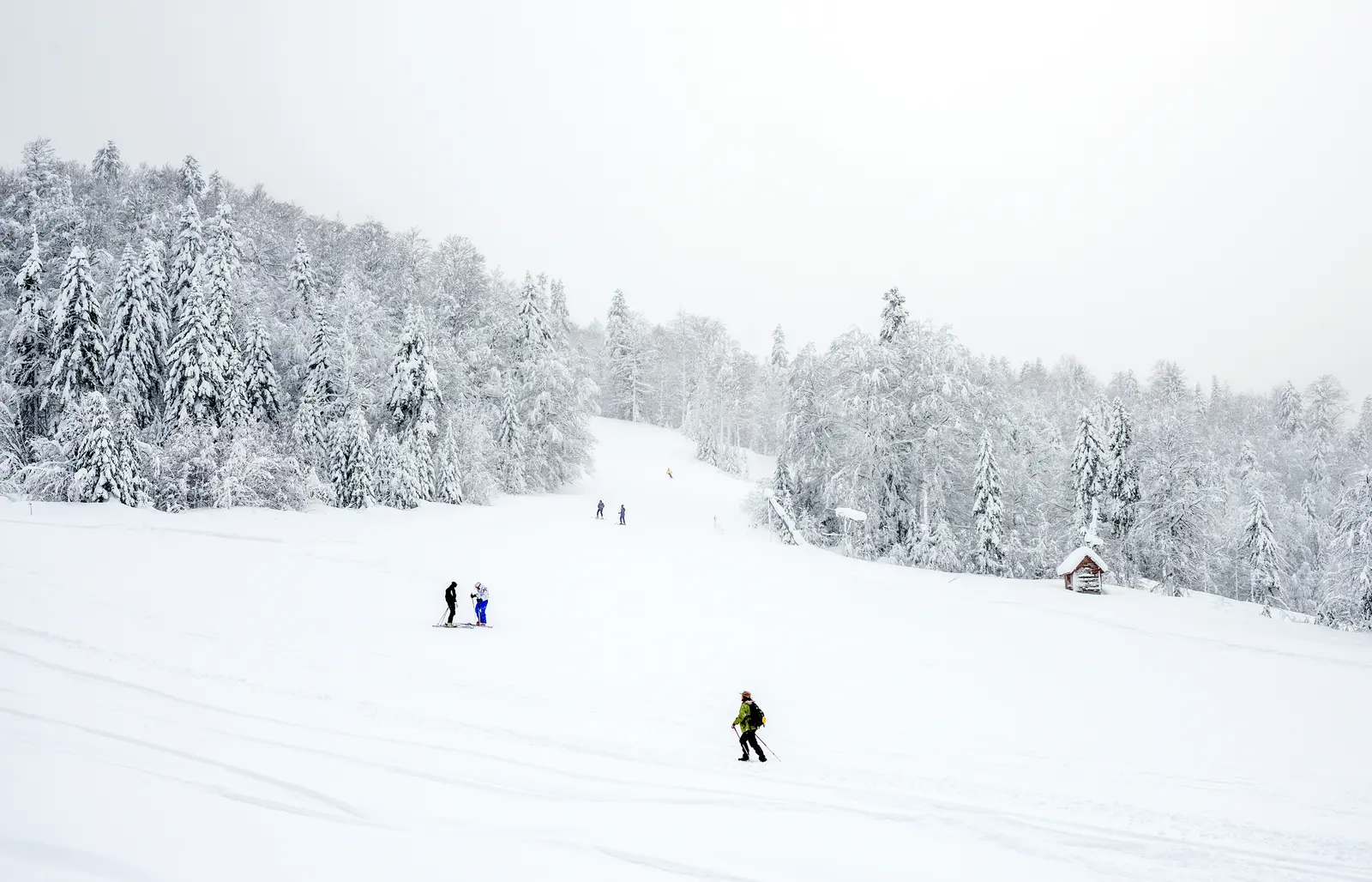 Ski Slopes Kolasin Montenegro